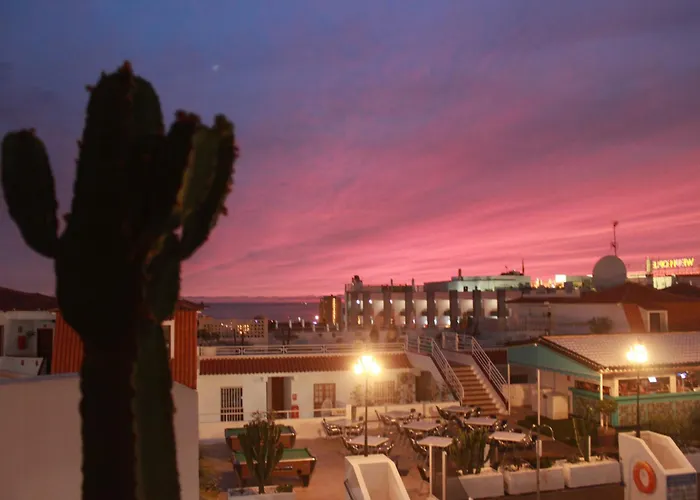 Tipaki Cristianos * Los Cristianos (Tenerife)