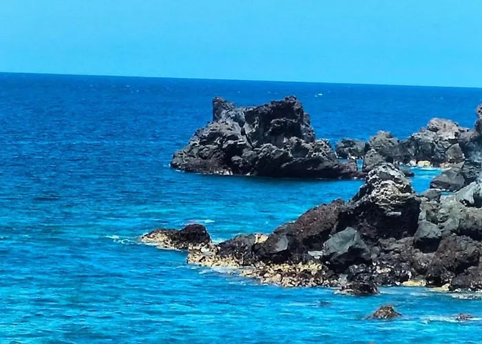 Tipaki Cristianos Los Cristianos (Tenerife)