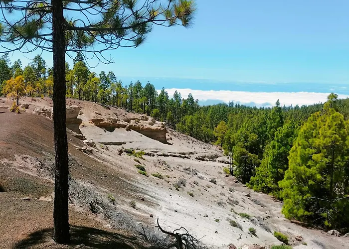 Tipaki Cristianos Apartamento Los Cristianos (Tenerife)