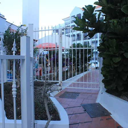 Tipaki Cristianos Los Cristianos (Tenerife)