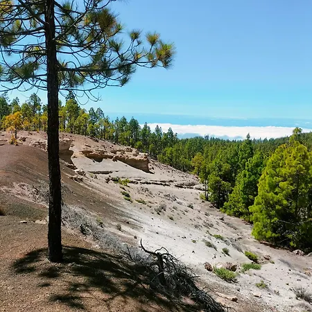 Tipaki Cristianos Lägenhet Los Cristianos (Tenerife)